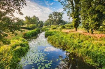 Truespeed in Nayland-with-Wissington